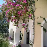 Theartemis Hotel Perissa (Santorini)
